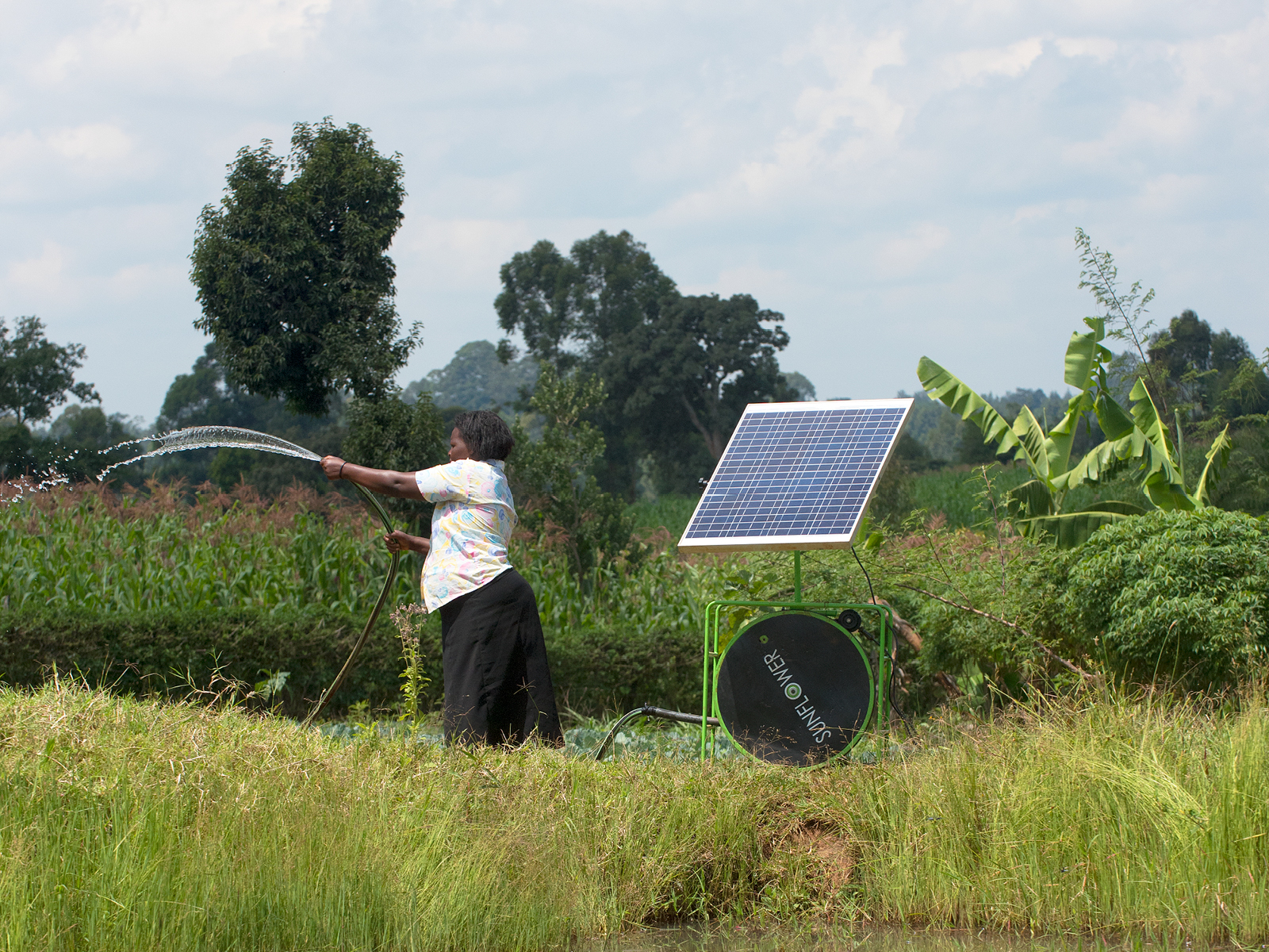 Irrigating With Solar A Farmer In Kitale Kenya Futurepump Solar