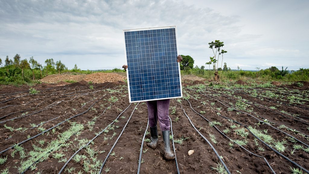Farmer walks her solar panel across her field