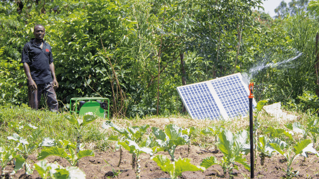 Farmer switched of SF2 solar pump to power spinklers