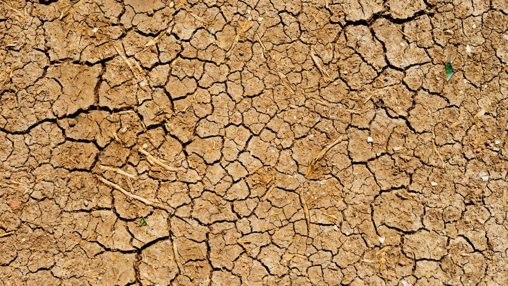 Cracked soil showing the drought in South and Central America