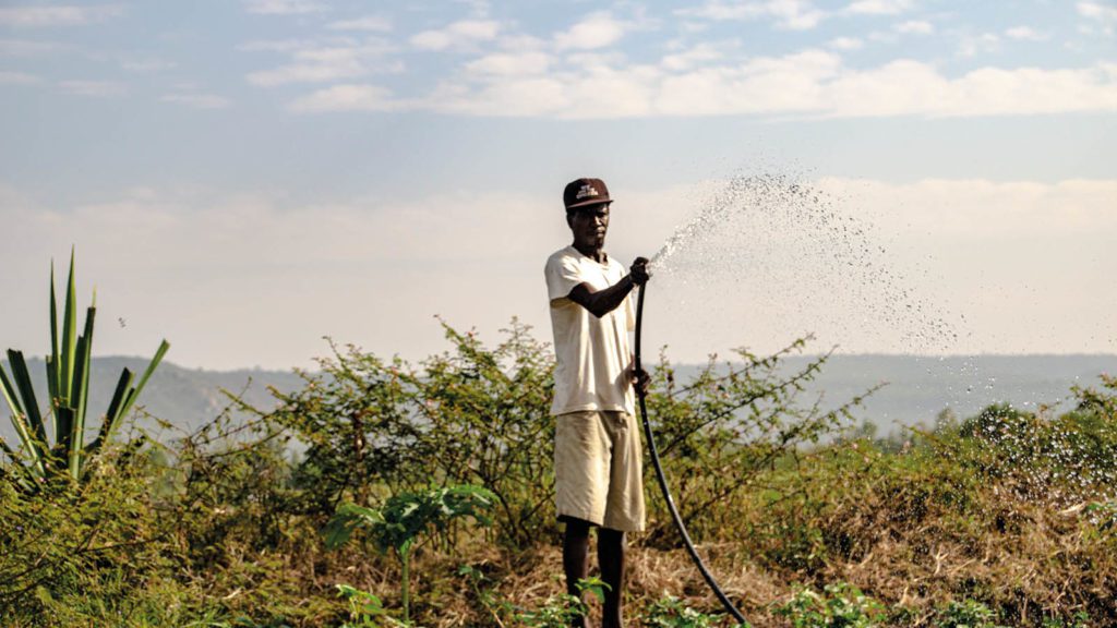 A farmer spraying water from a hose