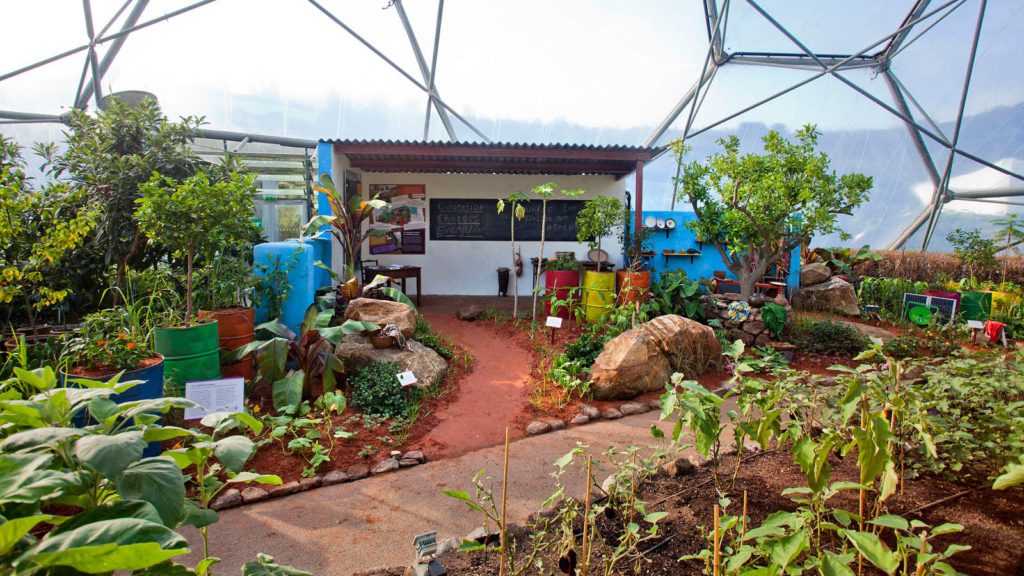 The CAMFED garden at the Eden Project