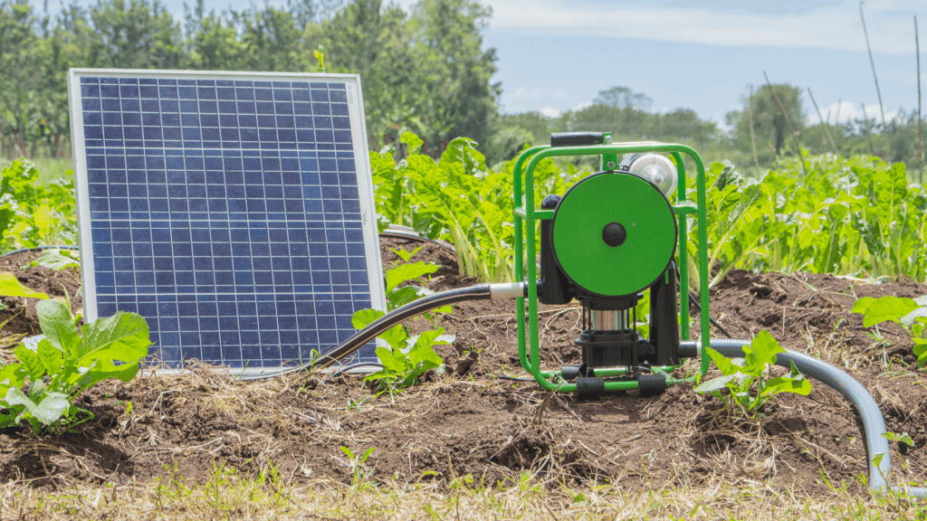 Futurepump SE1 solar pump on farm