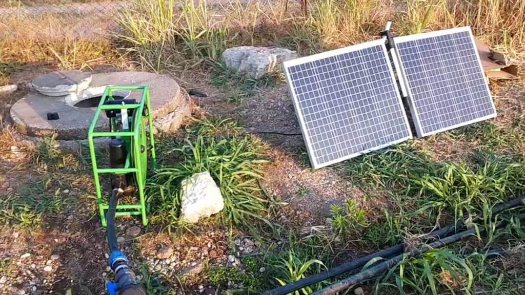 SF2 solar water pump in Italy, helping tree saplings to grow in the dry season, especially the hot summer last year. 