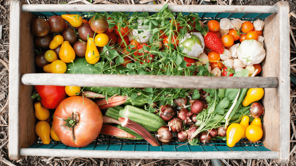 A selection of fruit and vegetables grown in a market garden. The image shows tomatoes, onions, garlic, peppers, strawberries and salad.