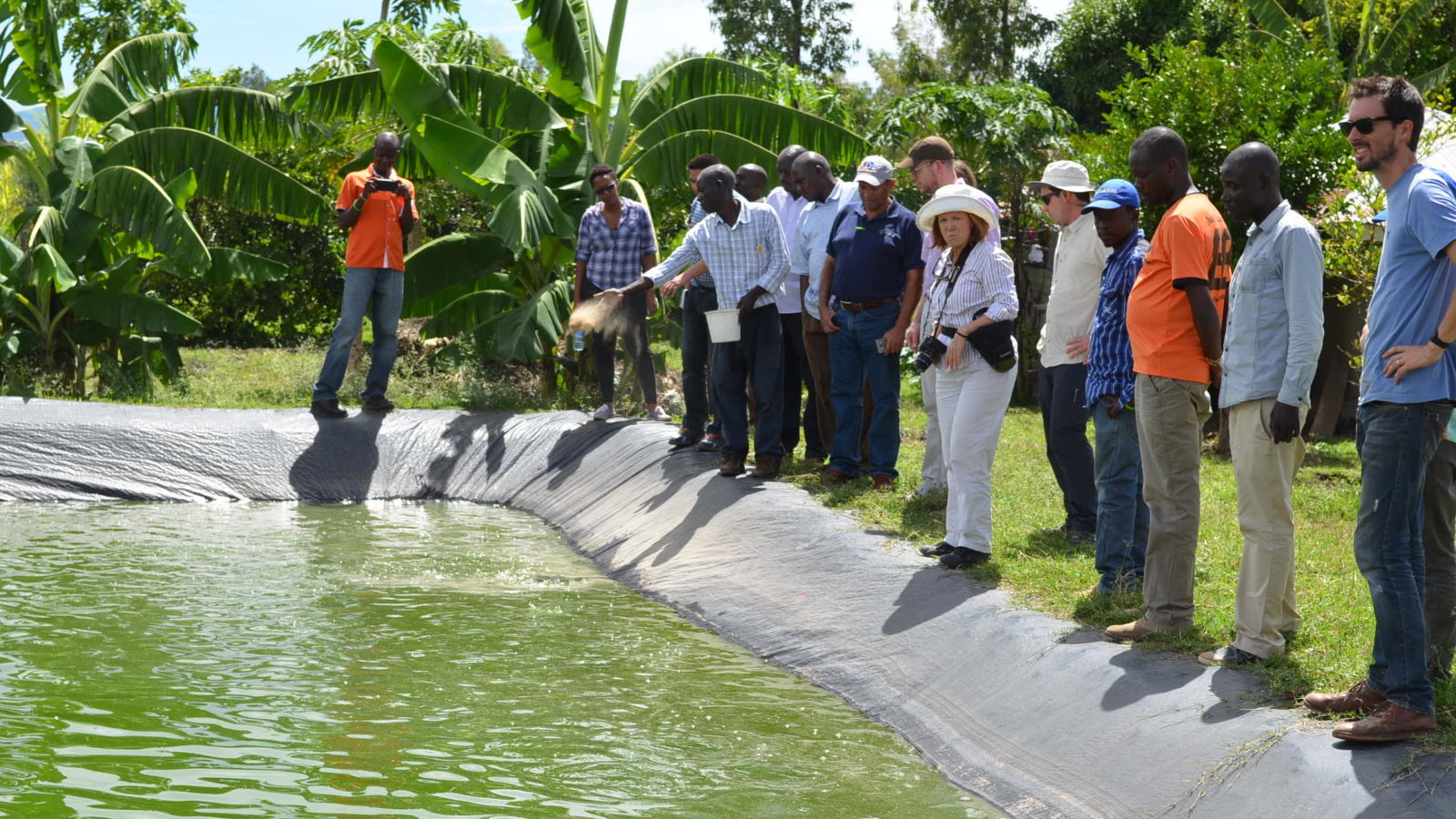 Lead farmer, Joshua Okundi shows the group his tilapia fish ponds - solar pump training