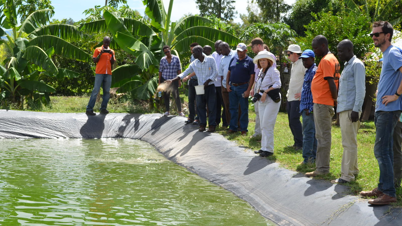 Lead farmer, Joshua Okundi shows the group his tilapia fish ponds Lead farmer, Joshua Okundi shows the group his tilapia fish ponds - solar pump training