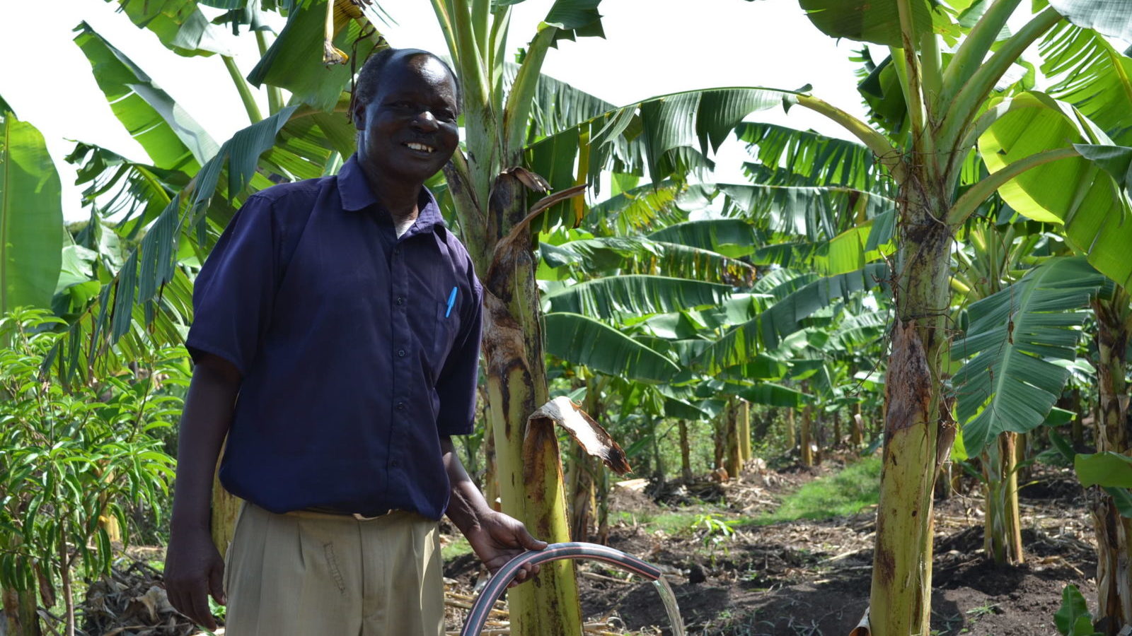 James uses solar to irrigate his banana plants on his farm in Mbita - solar pump training