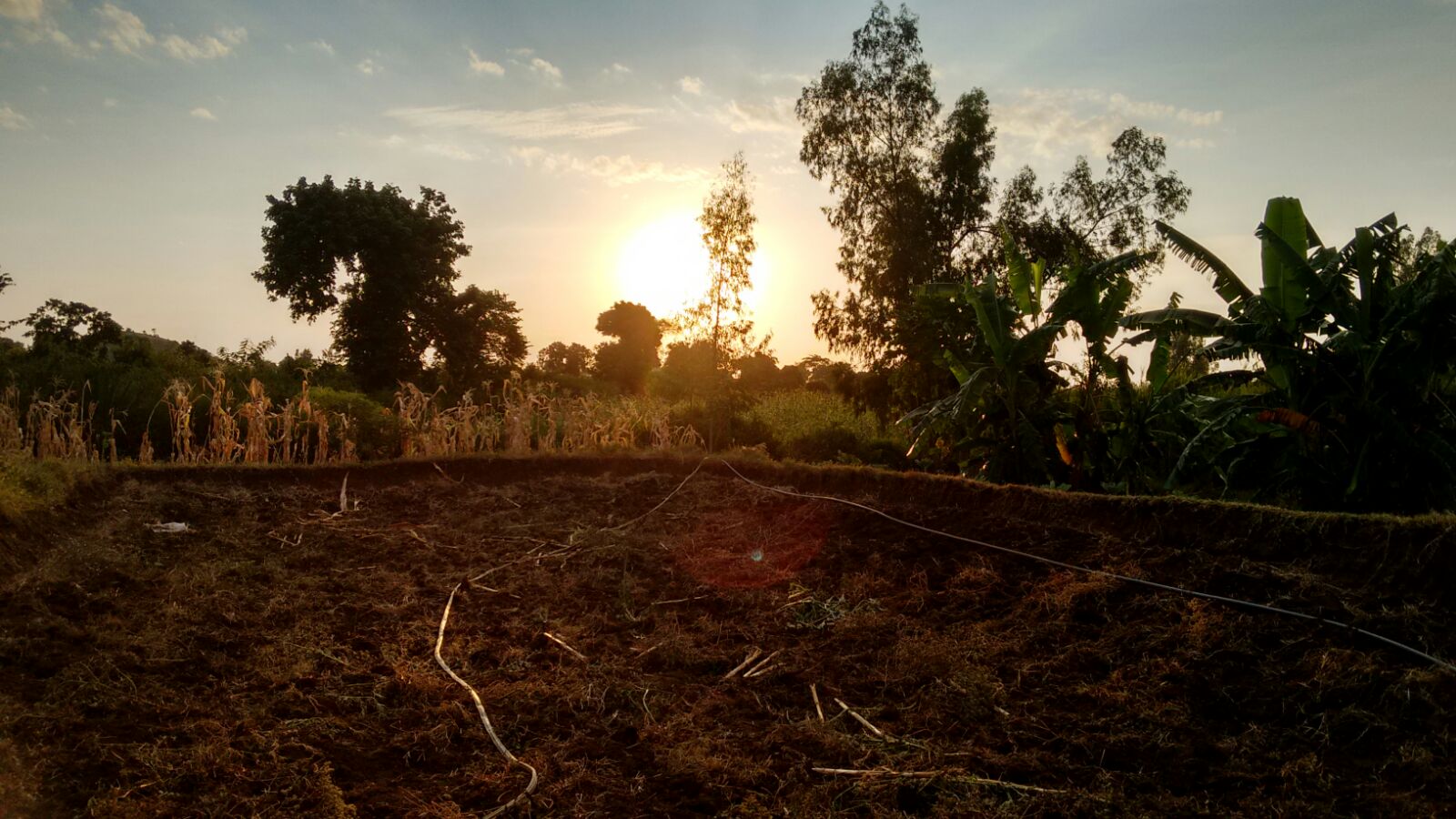 Sunset on a farm