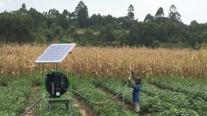 Child uses the solar pump