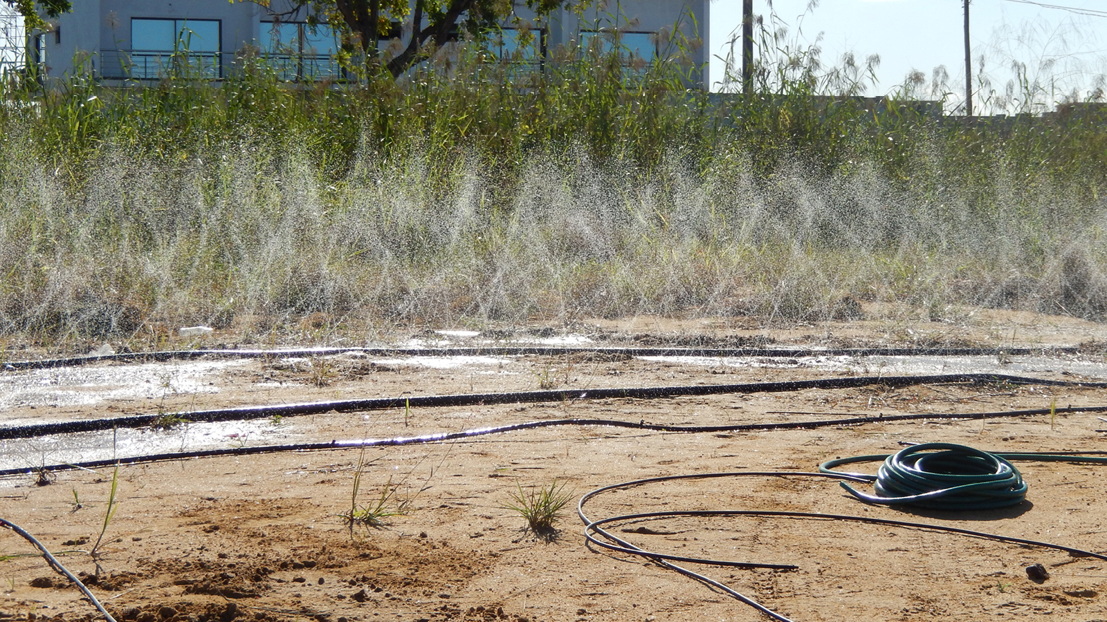 Mist irrigation at a site in Mozambique - climate change is changing irrigation practices