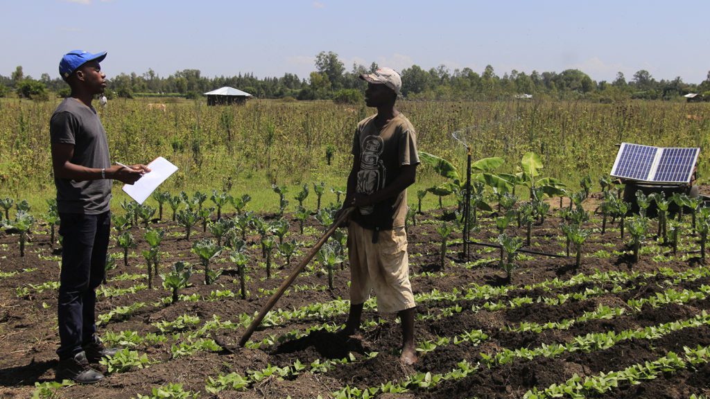 Collins interviews a Futurepump customer in the a field of seedlings to get his feedback on solar powered water pumps. 