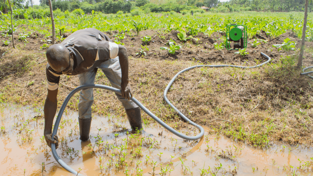 SE1 solar water pump pumping from muddy water. A man crouches over the shallow water source to demonstrate his solar water pump. In the background, a green long-lasting farm full of leafy produce.