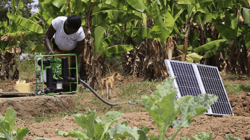 A farmer in Kenya sets up her Futurepump solar pump on her farm