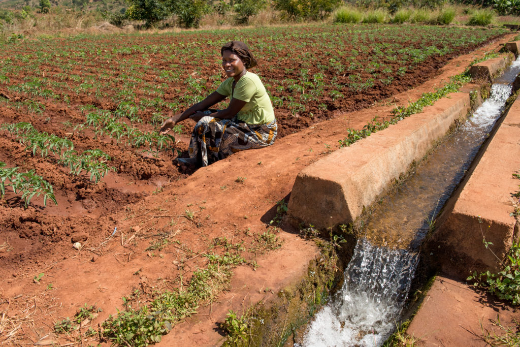 A woman smiling as she sits beside her seedlings in a large field. Water flows in over brickwork behind her.