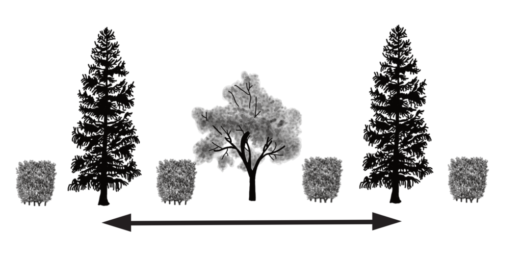 An illustration of a shelterbelt: alternates between a shrub, an evergreen tree, a shrub, a deciduous tree, and a final shrub.