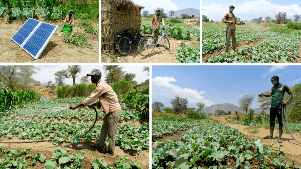 A collage of 5 photos. From top left:

1. A man crouches in a field behind his water pump and solar panels
2. A farmer stands with his bike in a field of leafy greens
3. A man smiles as he sprays water onto his crops
4. A man sprays water onto his crops using a hosepipe, you can see solar panels in the background
5. A man sprays water onto his crops from a hosepipe
