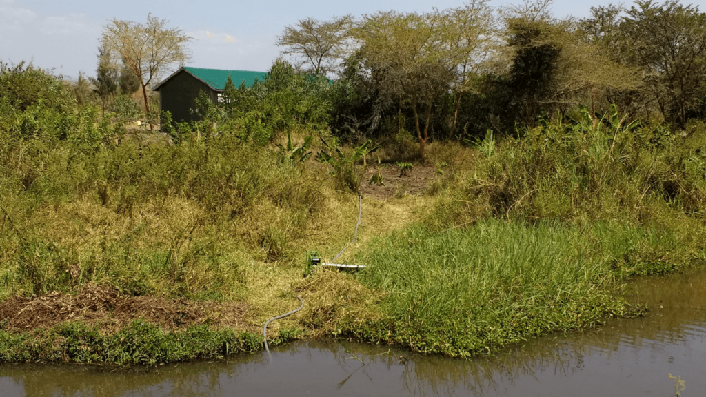 At the bottom of the image is a river with a grey hosepipe coming out of it and up the bank. This hose is attached to a solar pump which is hidden in the grass. Another pipe then continues up the photo to a small field of banana trees.